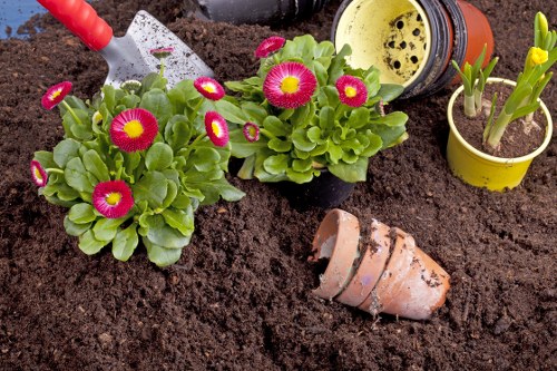 Professionals performing garden clearance in Whitechapel