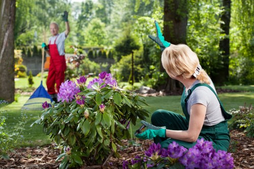 A woman wearing teal gardening gloves and a grey t-shirt is kneeling in a landscaped garden in Whitechapel, surrounded by vibrant purple flowering shrubs and green foliage. She appears to be pruning or inspecting the plants, with her focus on the bush in front of her. The garden features a well-maintained lawn area, bordered by a variety of lush trees and shrubs, providing a natural green backdrop. In the background, a gardener dressed in red overalls and blue gloves is raking or clearing leaves near a pond or water feature, with sunlight filtering through the tall trees, creating dappled light and shade. The scene captures a neatly landscaped outdoor space with expertly maintained plant beds, natural earth pathways, and a peaceful environment suitable for gardening and outdoor maintenance services offered by Landscapers Whitechapel, nestled within the postal district of E1 postcode area in East London.