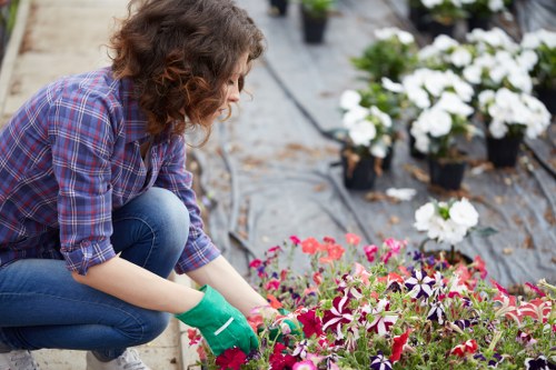 Customer raising a landscaping service complaint with a clear procedure