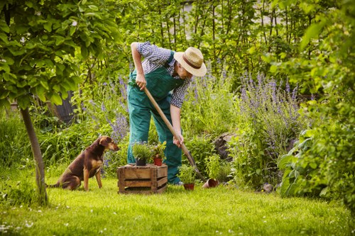 A person wearing a straw hat, blue apron, and checkered shirt is tending to a lush, green backyard garden with a small wooden planter box containing potted plants, while a brown dog sits attentively nearby on the well-maintained lawn. The garden features a variety of vibrant purple flowering plants, tall leafy shrubs, and mature trees that provide shade. The grass appears dense and healthy, with visible soil patches around the planting area. The scene is outdoors on a bright day, with natural sunlight filtering through the foliage, highlighting the diverse plant textures and natural tones of the garden. This setting demonstrates typical landscaping and gardening activities that a professional gardening service such as Landscapers Whitechapel might support, creating a vibrant and well-cared-for outdoor space in the Whitechapel area near London.