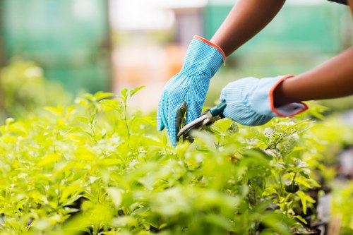Landscapers Whitechapel team sorting green waste for eco-friendly disposal