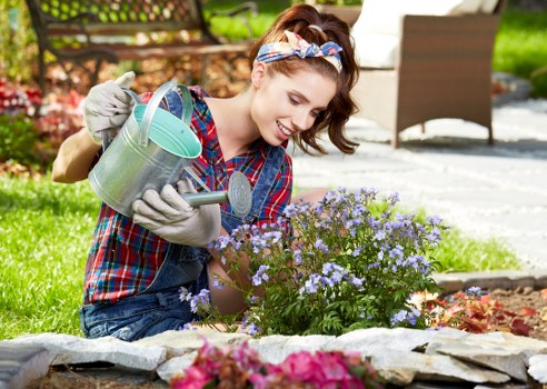 Comprehensive tree services including stump grinding