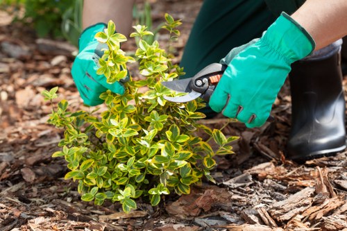 Accessible Landscapers Whitechapel website content on a screen-friendly layout