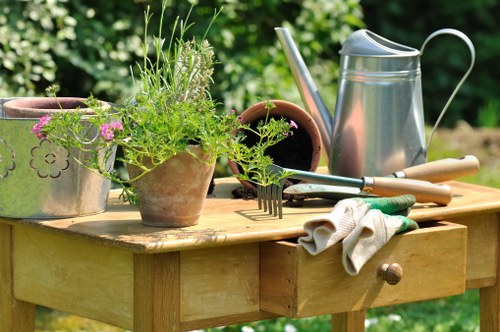 Designing a modern landscape garden with vertical gardening solutions