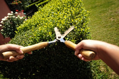 The image shows two hands holding garden hand tools, a pair of bypass pruners and a small hand rake, positioned over a well-maintained garden hedge with dense, vibrant green foliage. The hedge is neatly trimmed and forms a prominent boundary in the outdoor space, which features a lush lawn area with evenly cut grass extending to the right. In the background, additional plants and shrubs add variety to the garden environment, and the scene is illuminated by natural daylight, suggesting clear weather conditions. The setting is indicative of a thoughtfully landscaped garden typical of residential outdoor spaces in Whitechapel, with clean pathways and a focus on garden maintenance and shrub management, reflective of garden renovation and landscaping services provided by companies like Landscapers Whitechapel.