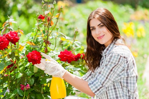 A young woman with long brown hair, dressed in a light plaid shirt and white gardening gloves, is tending to vibrant red roses in a lush, well-maintained garden. She is smiling gently while using a yellow spray bottle to water or treat the roses, which are situated in a flower bed bordered by green foliage. The garden features a neatly clipped hedge in the background, along with other flowering plants and shrubs, with dappled sunlight filtering through the trees, creating a bright and inviting outdoor space typical of residential gardens in Whitechapel. The lawn area appears dense and healthy, with well-defined borders separating different plant sections, and the overall setting reflects a professional gardening service environment, focusing on flower and shrub care as part of outdoor maintenance and landscaping efforts by Landscapers Whitechapel.