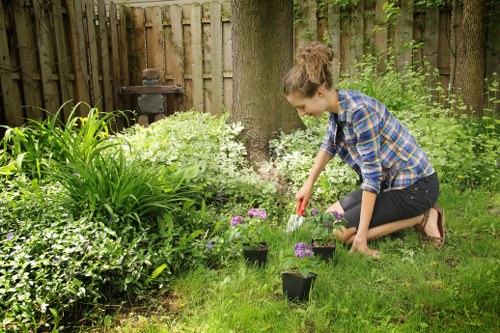 Seasonal garden care in Whitechapel