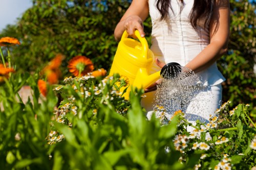 A person, dressed in a sleeveless white top, is watering a garden flower bed in a suburban outdoor space with a yellow watering can. The garden features a variety of flowering plants with bright orange and white blossoms, bordered by lush green foliage. The flower bed has a defined edge, separating it from a well-maintained, dense, green lawn in the foreground. In the background, there are tall, leafy shrubs and trees that create a natural, private enclosure. The scene is set in bright daylight, with natural sunlight illuminating the vibrant colours of the flowers and greenery, indicating warm weather. The overall setting suggests careful garden maintenance typical of professional landscaping and gardening services, such as those provided by Landscapers Whitechapel, with a focus on creating attractive, well-kept outdoor spaces. The environment appears clean and orderly, emphasizing ongoing garden care and cultivation activities in a typical residential garden in Whitechapel, east London.