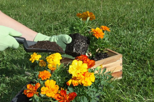 A gardener wearing light green gloves is planting vibrant orange and yellow flowering marigolds into a rectangular wooden planter box filled with dark soil, situated on a well-maintained green lawn. In the background, there are additional flower pots with similar blooming marigolds, and a few small plants are visible nearby. The scene takes place outdoors in a garden or yard setting with natural daylight and a clear sky, suggesting pleasant weather. The arrangement demonstrates typical gardening activities aligned with landscaping and planting services offered by Landscapers Whitechapel, compatible with their gardening offerings in the Whitechapel area, London, using natural tones of soil, foliage, and brightly coloured flowers to create an inviting outdoor space.