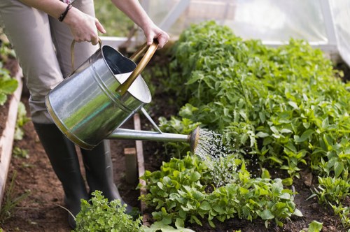 The image depicts a person watering a vegetable garden within a greenhouse or covered outdoor space, which is likely part of a gardening service in Whitechapel. Visible in the foreground are lush green leafy plants, possibly lettuce or similar vegetables, growing in well-maintained soil beds. The garden features a variety of plants arranged in neat rows, with some taller crops or bushes in the background. The person is using a watering can to gently give the plants a thorough watering, indicating regular garden upkeep. The surrounding environment includes natural light filtering through translucent panels, creating a bright and inviting atmosphere suitable for sustainable gardening practices. The scene illustrates outdoor maintenance work, with a focus on nurturing healthy plants and supporting eco-friendly practices aligned with recyclable and sustainable garden management, characteristic of services offered by landscapers in Whitechapel. The overall setting emphasizes a productive, well-organized gardening area promoting local gardening and outdoor environmental sustainability.